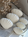 Classic Sea Shell Candle (1pc)