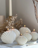 Classic Sea Shell Candle (1pc)