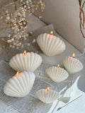 Classic Sea Shell Candle (1pc)