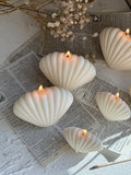 Classic Sea Shell Candle (1pc)