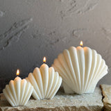 White Sea Shell Candles