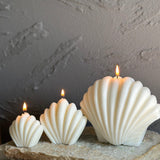 White Sea Shell Candles