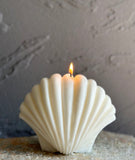 White Sea Shell Candles