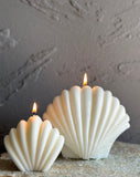 White Sea Shell Candles