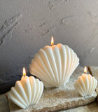 White Sea Shell Candles