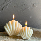 White Sea Shell Candles