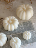 Variety Autumn Pumpkins Candles