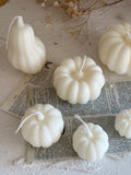 Variety Autumn Pumpkins Candles