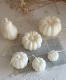 Variety Autumn Pumpkins Candles