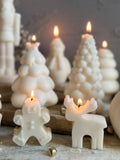 Christmas Candle Collection