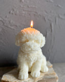 Large Teddy Dog Candle