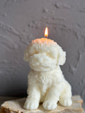 Large Teddy Dog Candle